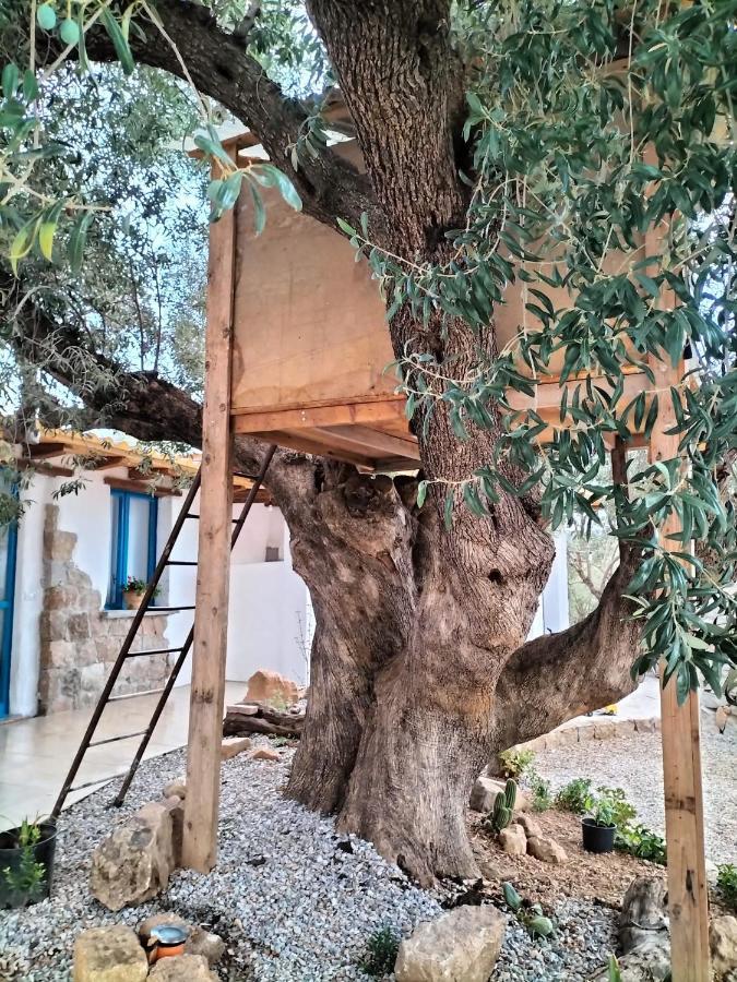 Sole In Ogliastra Bed & Breakfast Jerzu Eksteriør bilde