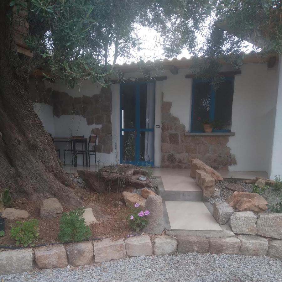 Sole In Ogliastra Bed & Breakfast Jerzu Eksteriør bilde