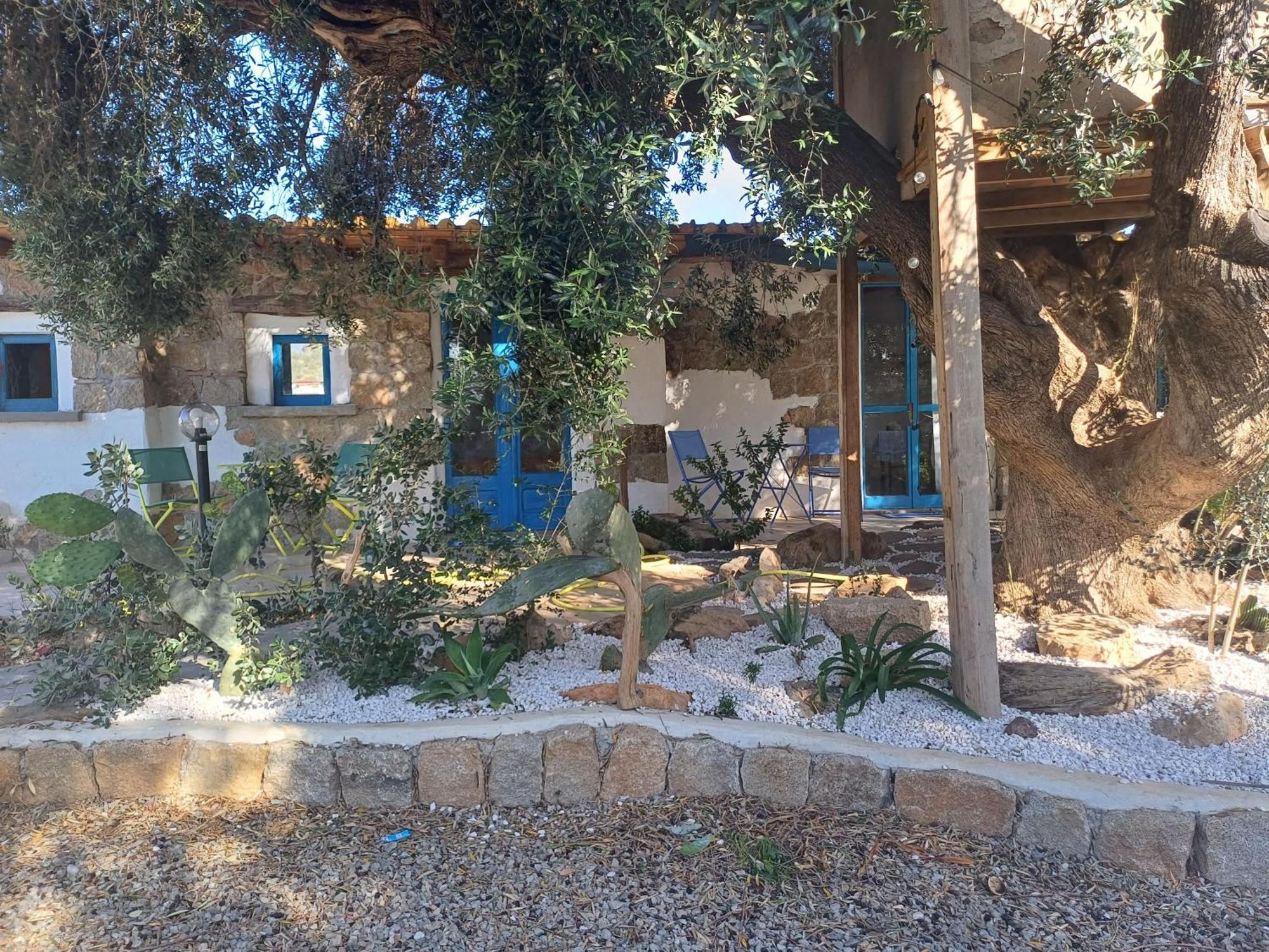 Sole In Ogliastra Bed & Breakfast Jerzu Rom bilde